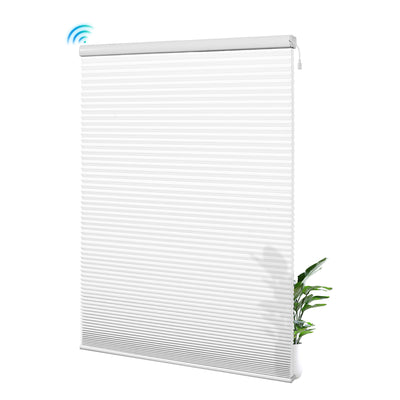 38L01-White
