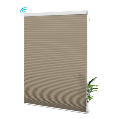 38L08-Brown