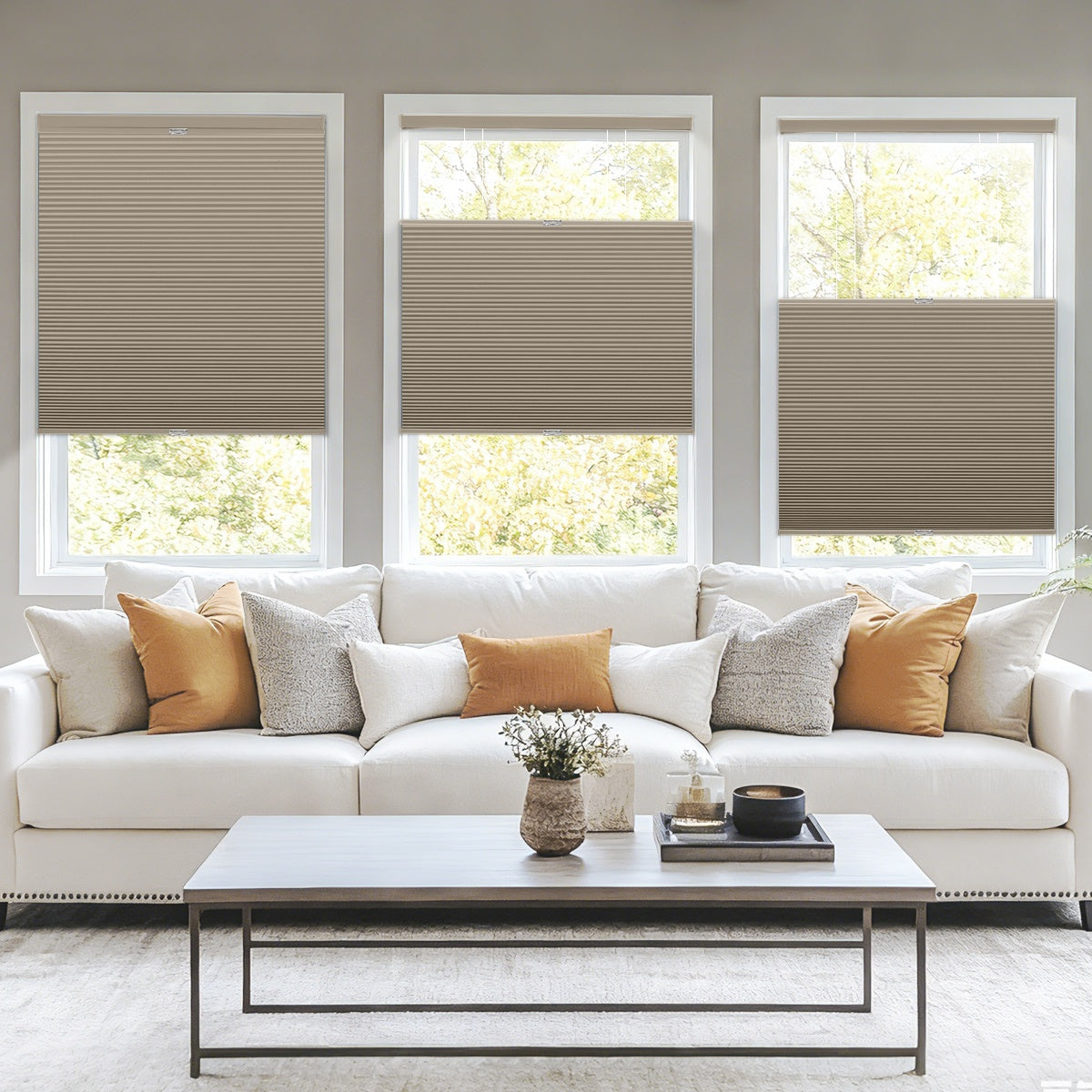 Sulugood Top-Down Bottom-Up Same Color With Casing Cellular Shade in a modern living room setup.