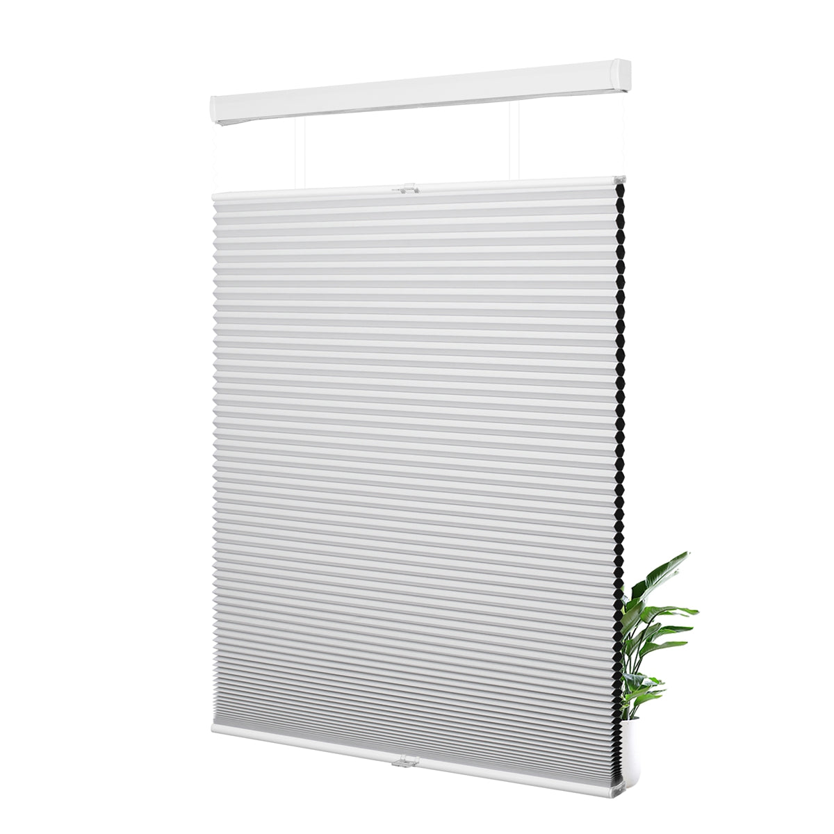 B01-White