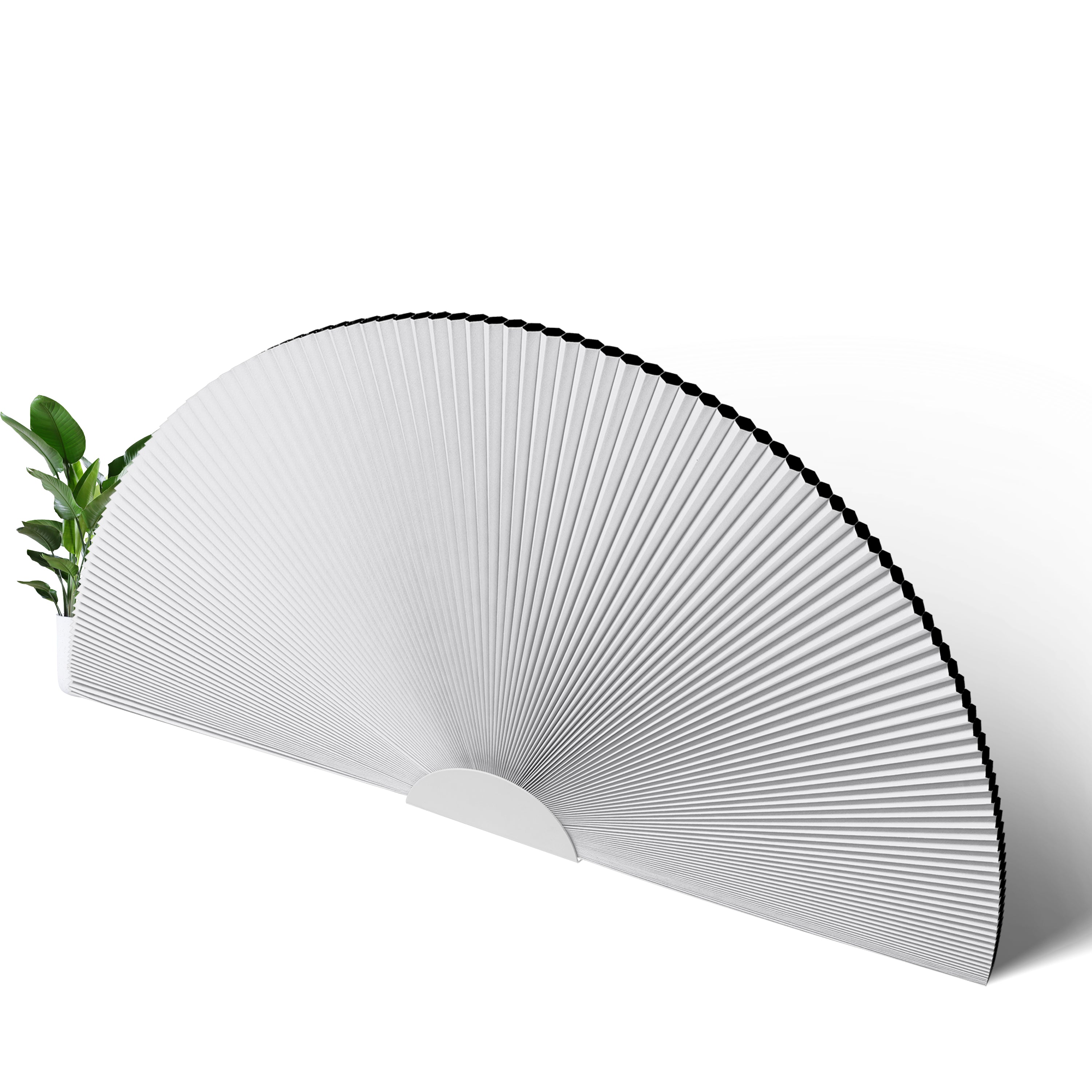 B01-White