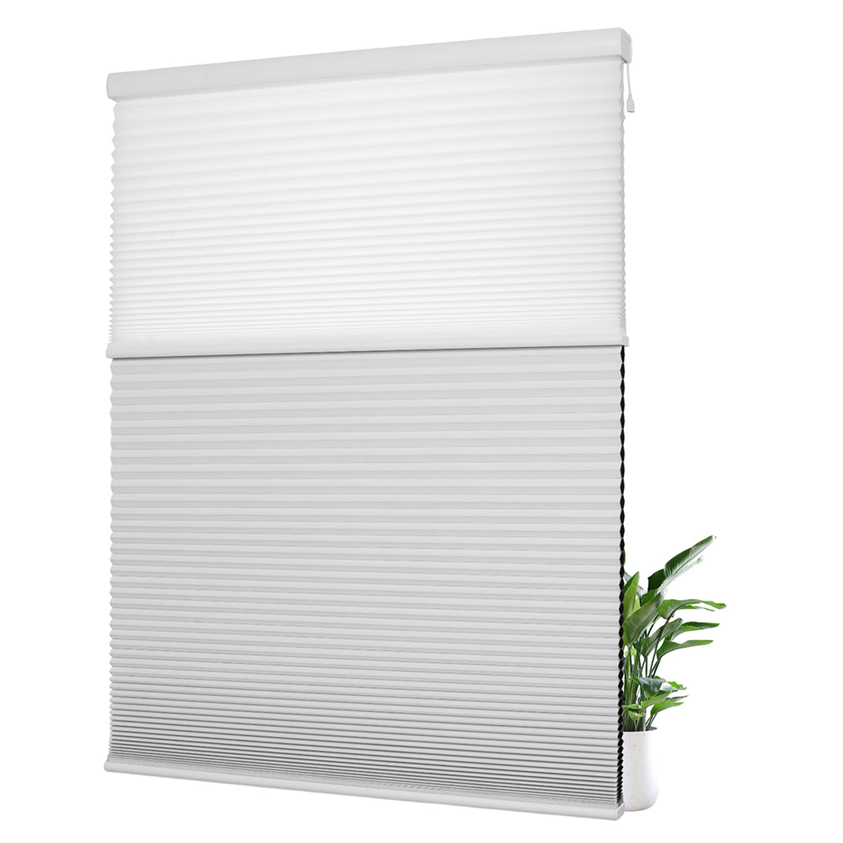 Light Filtering White+Blackout White