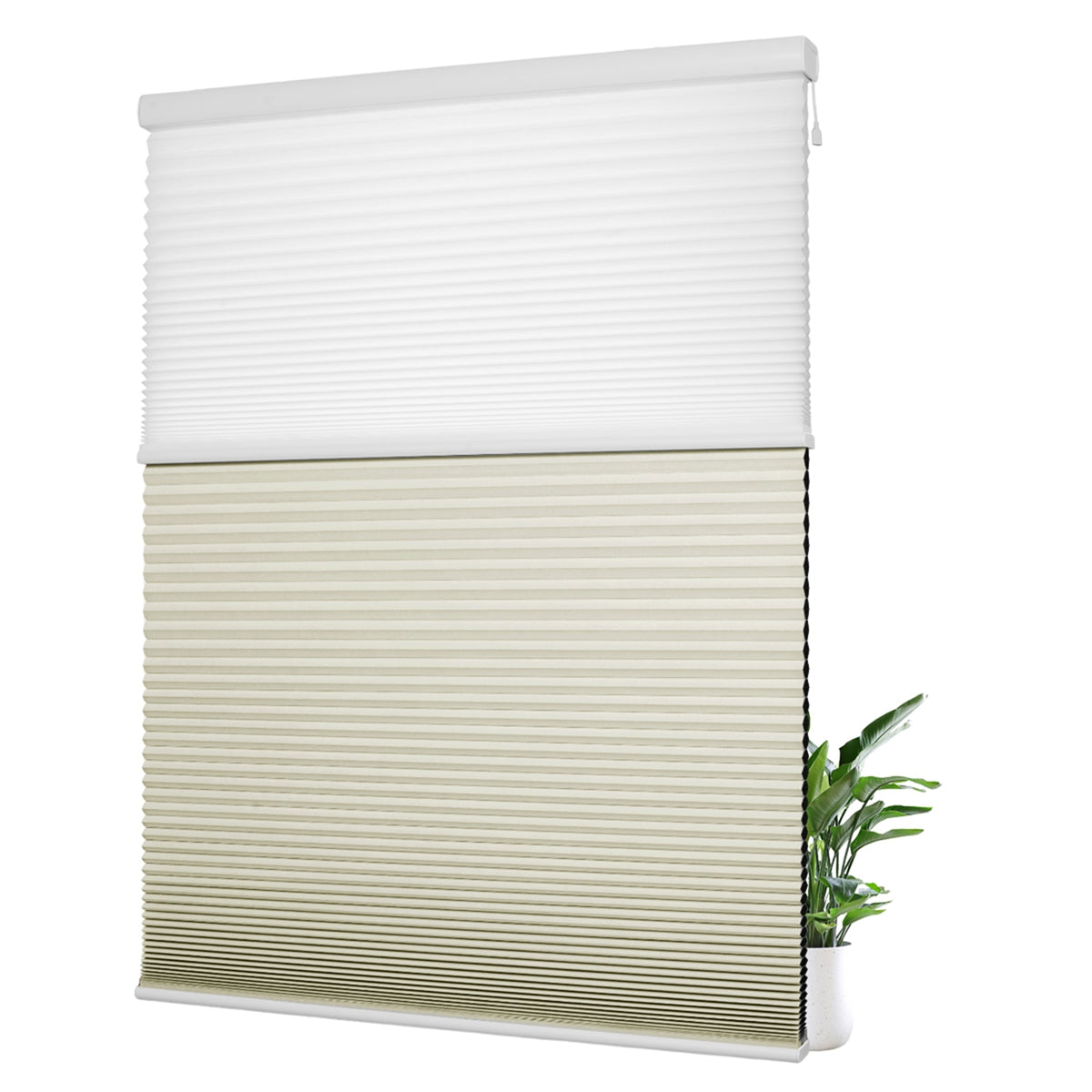 Light Filtering White+Blackout Beige