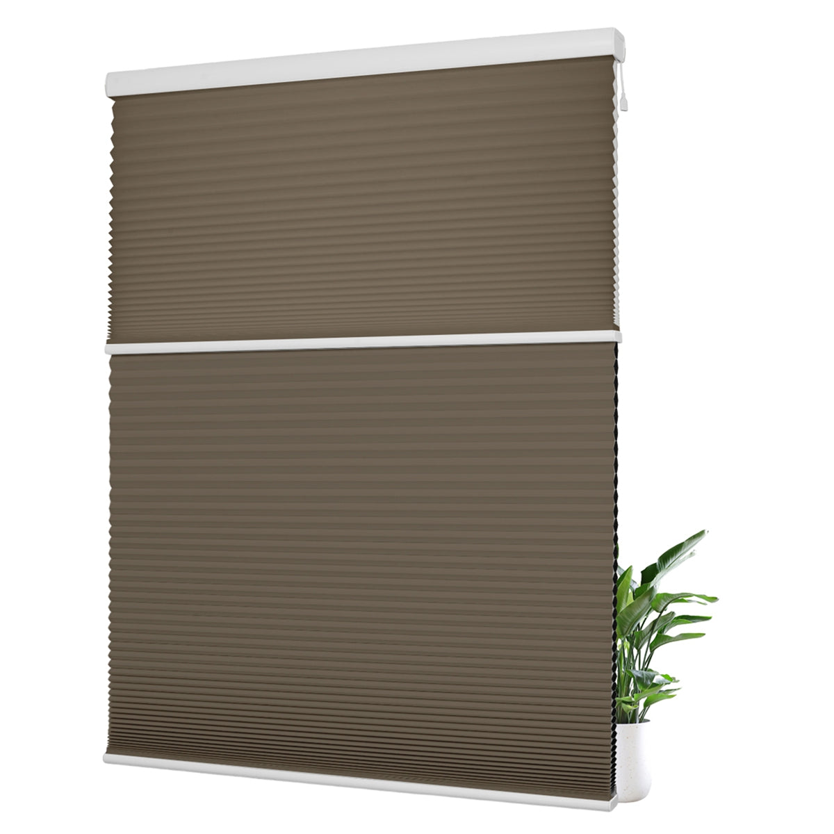 Light Filtering Brown+Blackout Brown