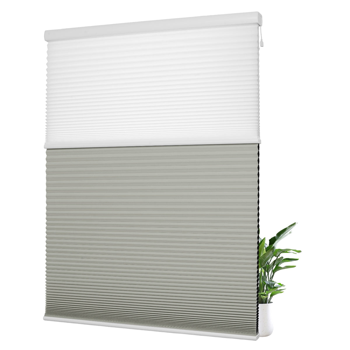 Light Filtering White+Blackout Gray