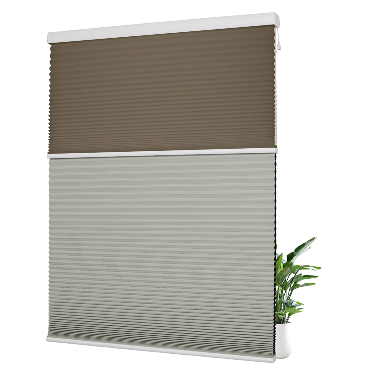 Light Filtering Brown+Blackout Gray