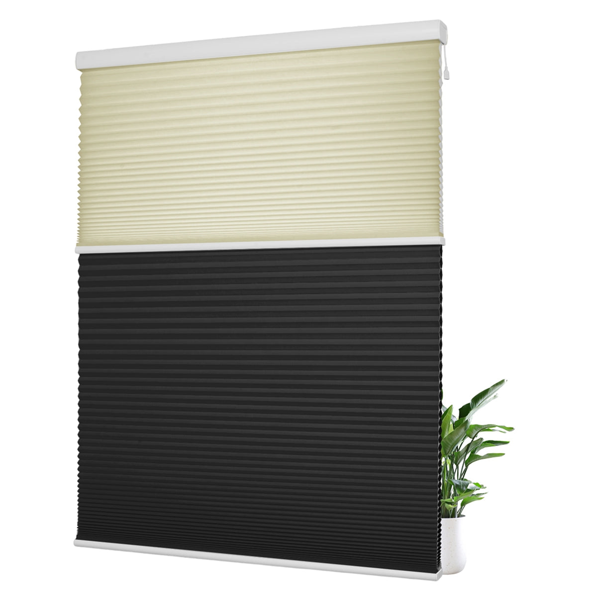 Light Filtering Beige+Blackout Black