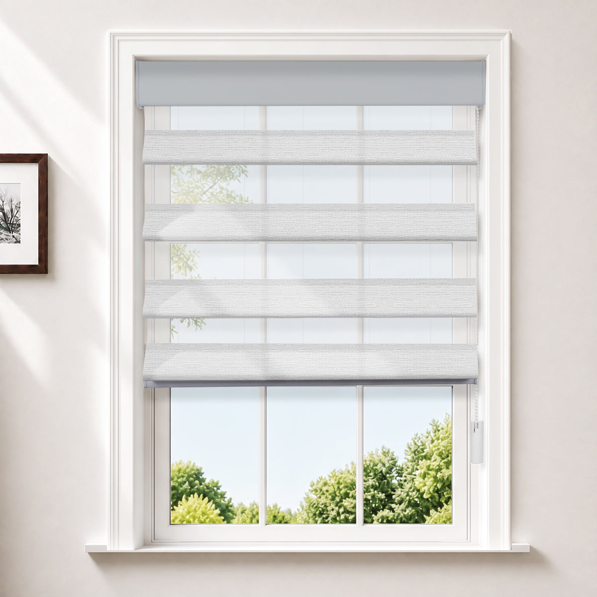 HLA2505-02-Gray