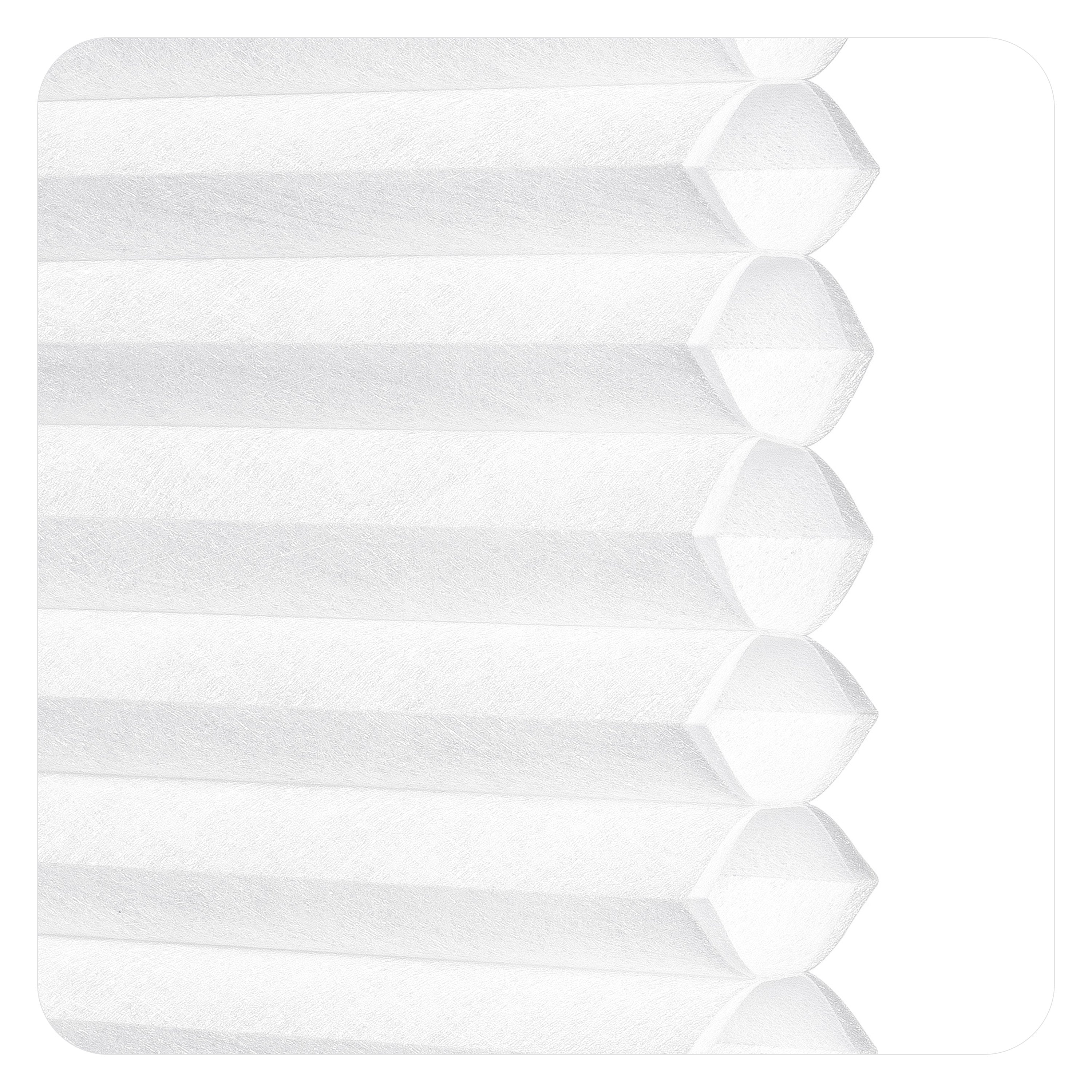 HC38-001-White (KZK)