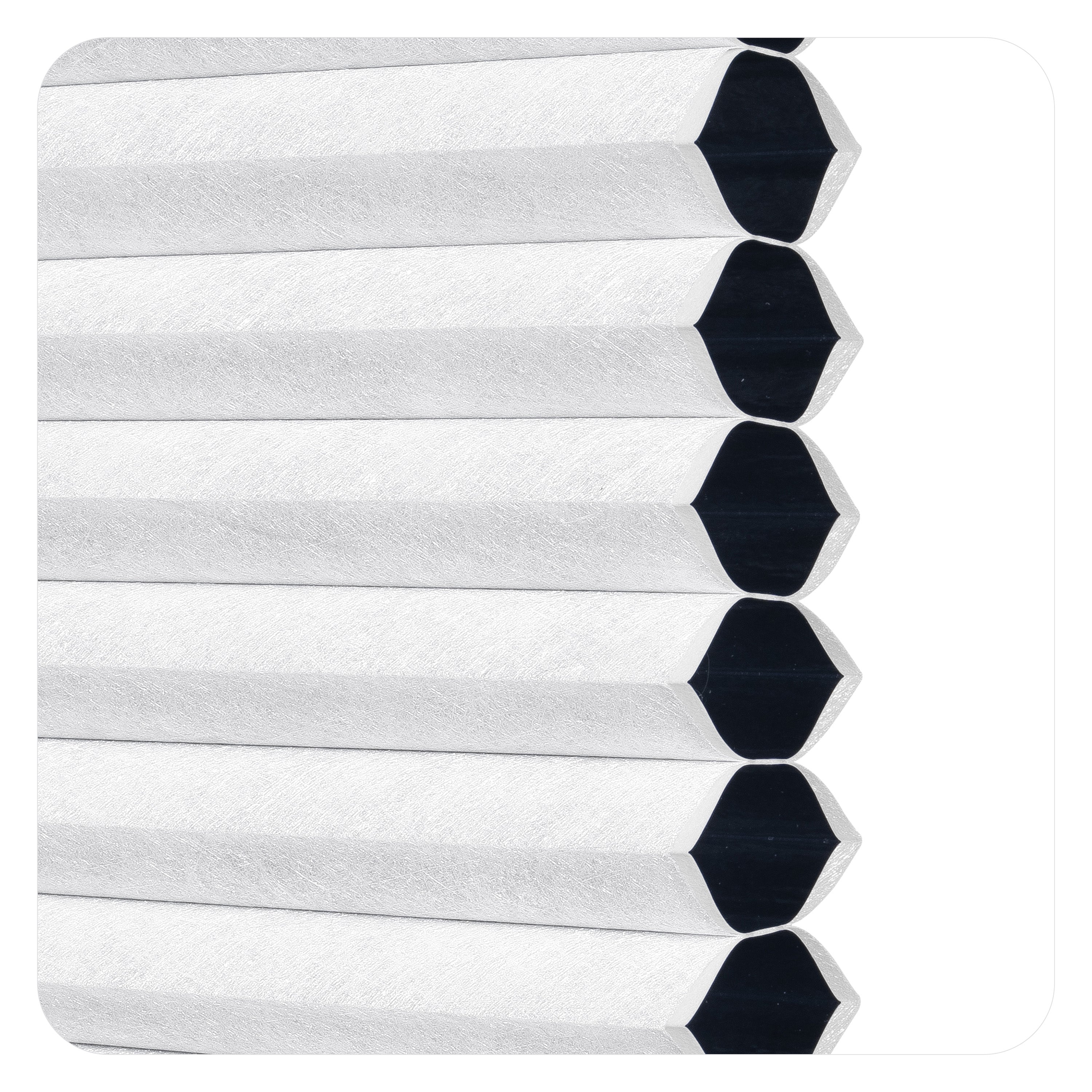 HCB38-001 (KZK)
