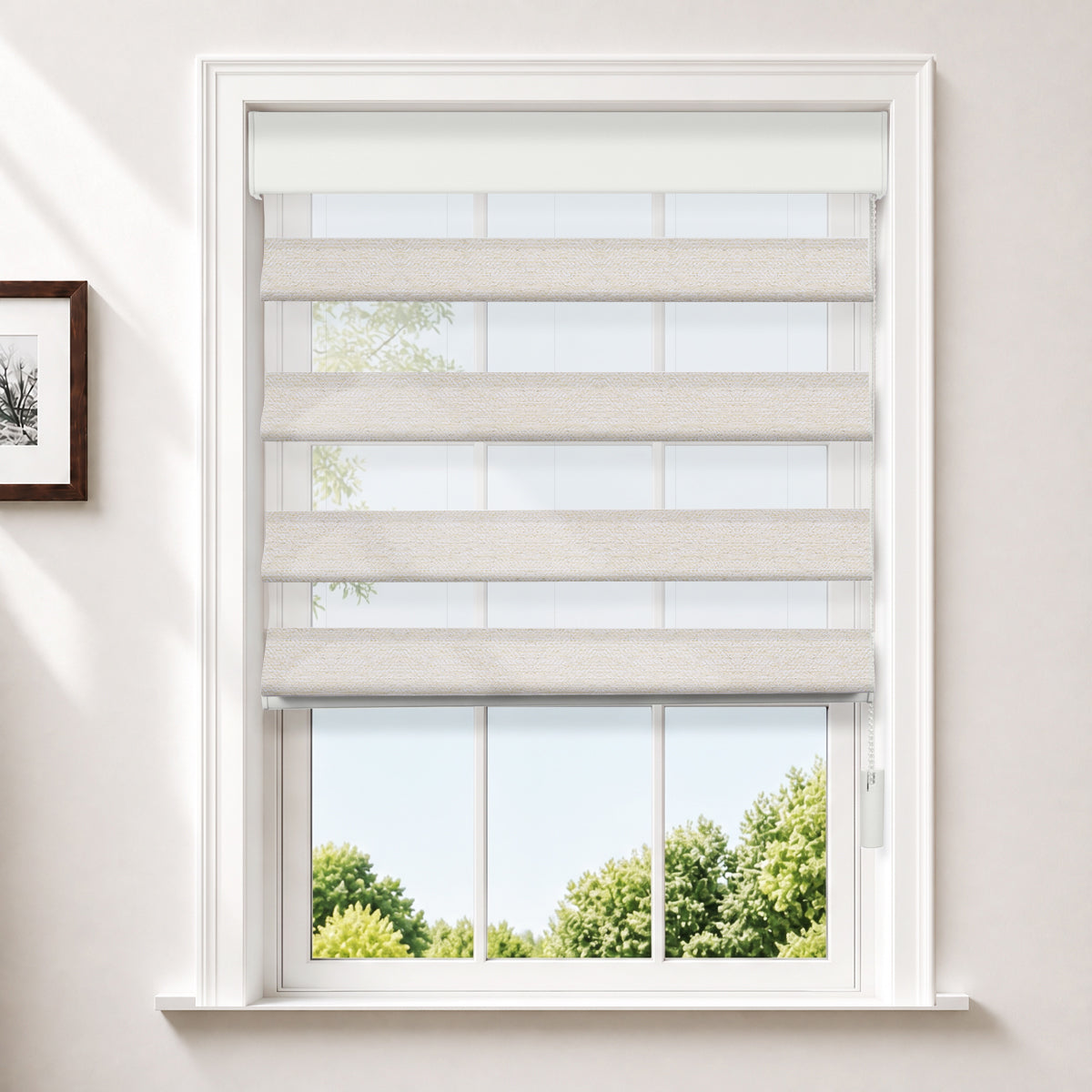 HLA2501-2-Beige