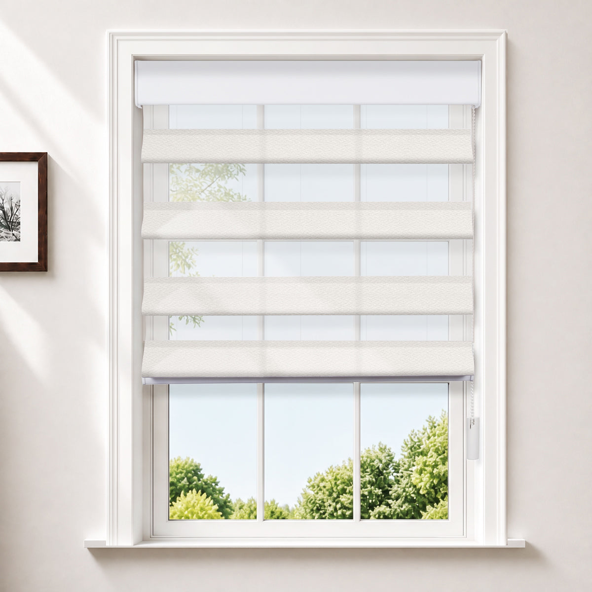 HLA2503-01-White