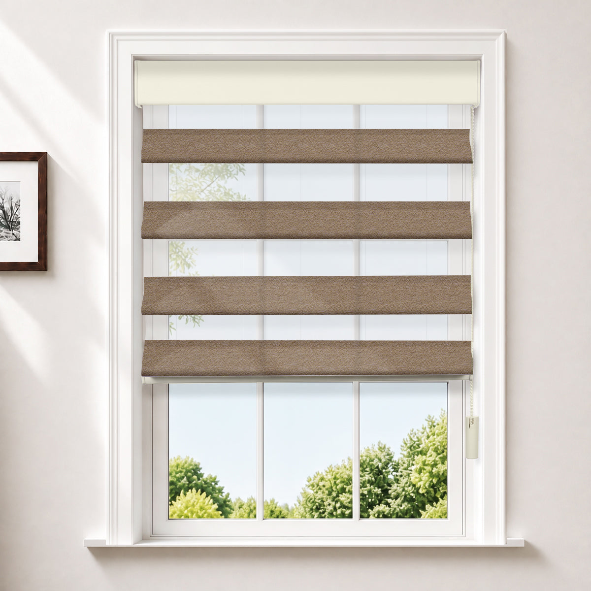 HLA2503-08-Brown
