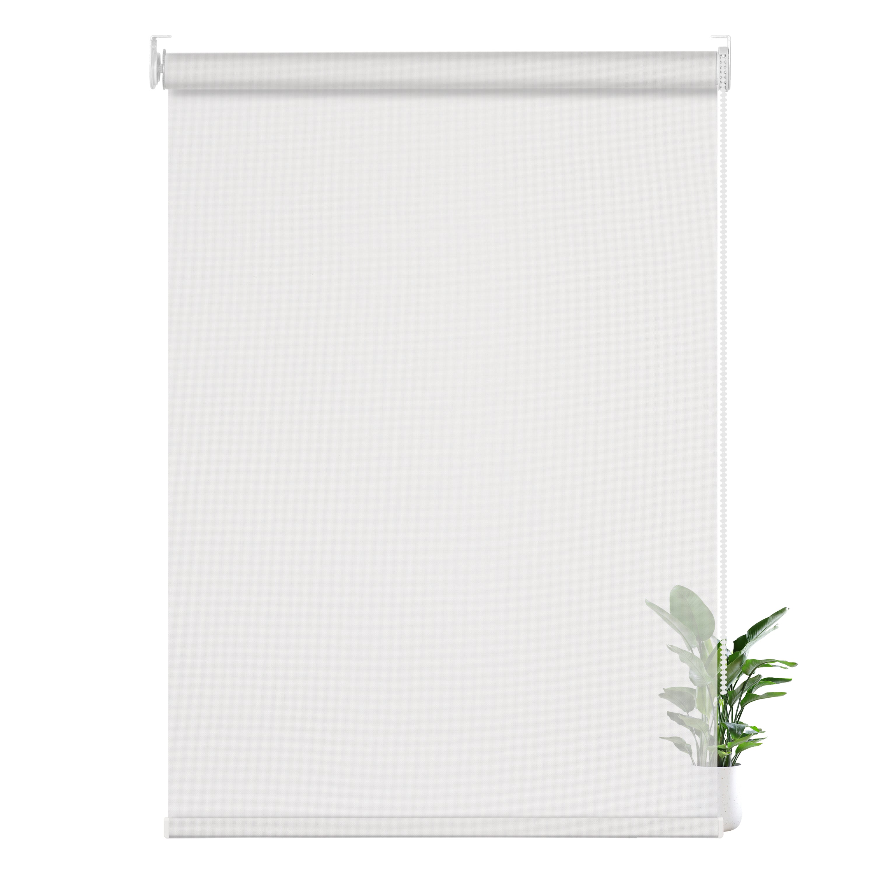 JL0601-White