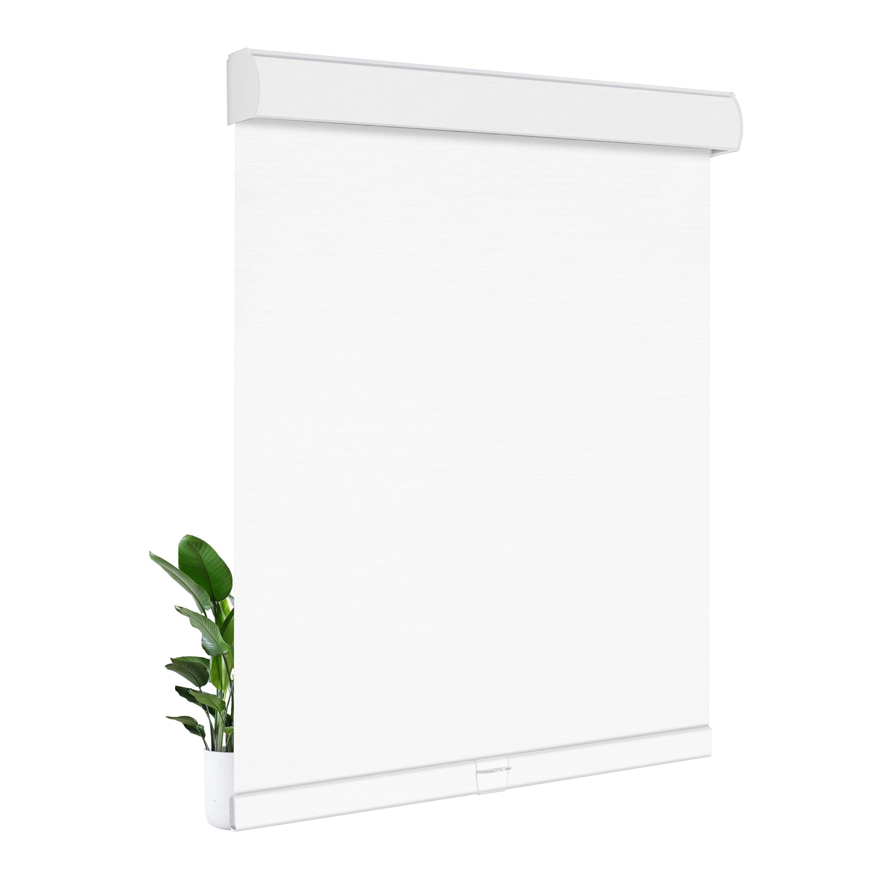 JL0701-White
