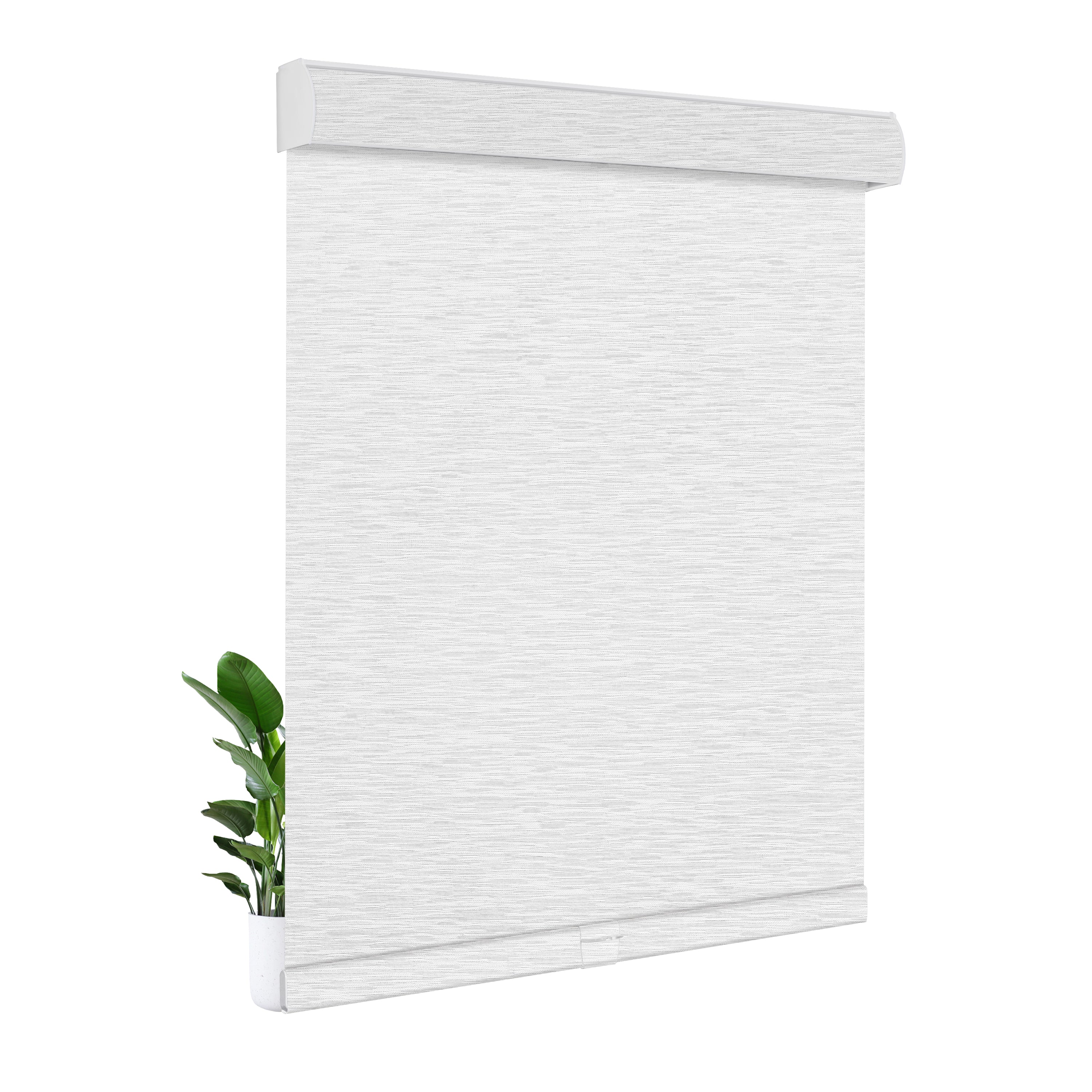 JL0801-White