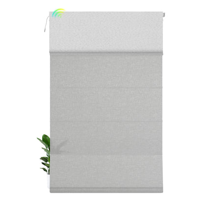 Blackout White+Light Filtering Gray