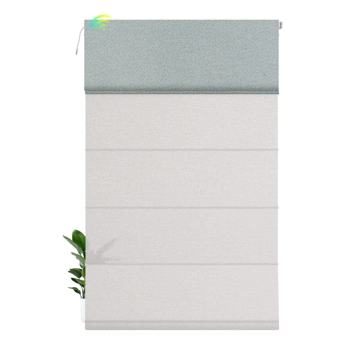 Blackout Blue Green+Light Filtering White