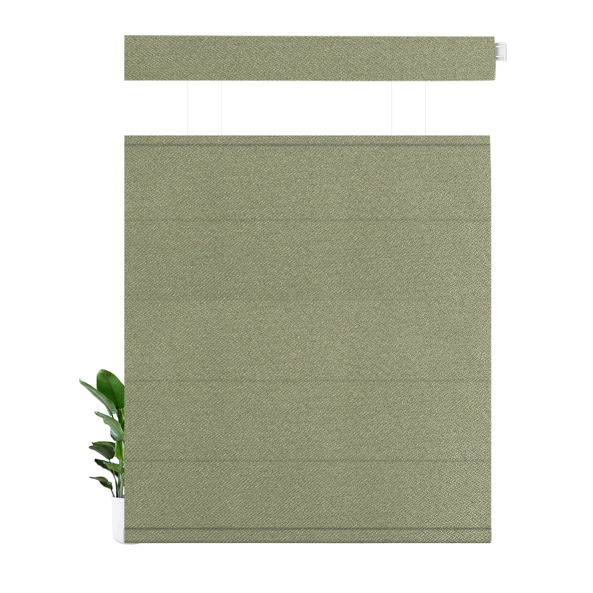 LM0123-Light Green