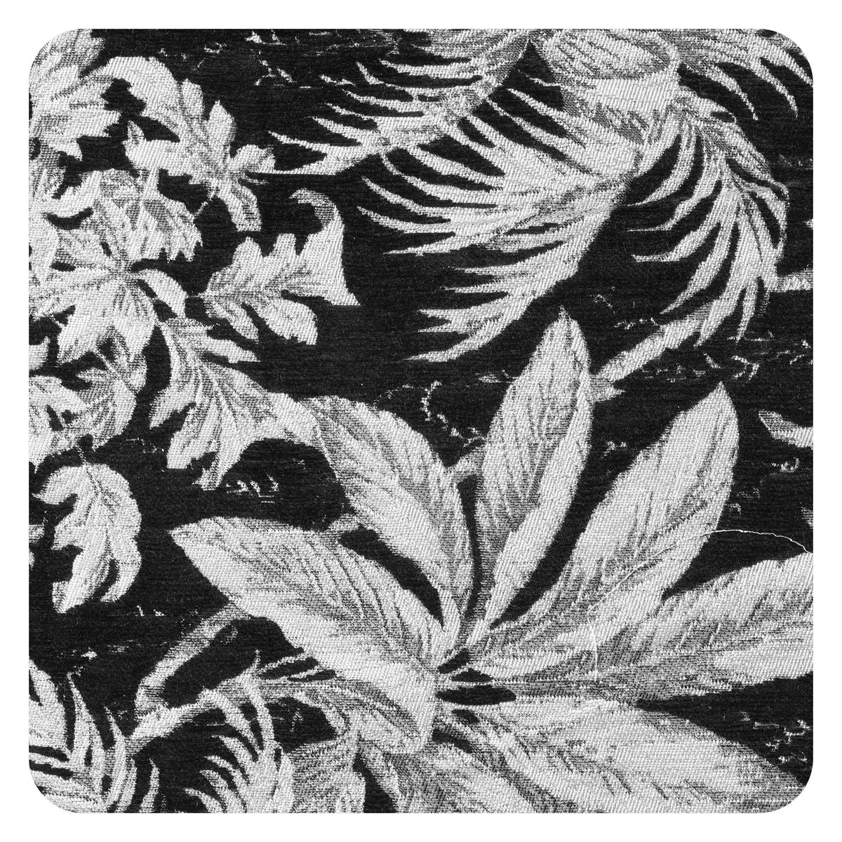 LM502601-Schwarze tropische Blätter