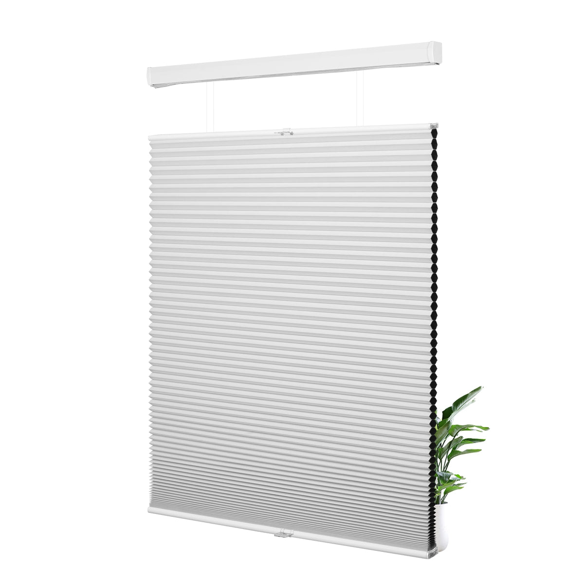 B01-White