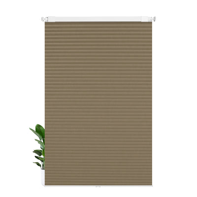 B08-Brown