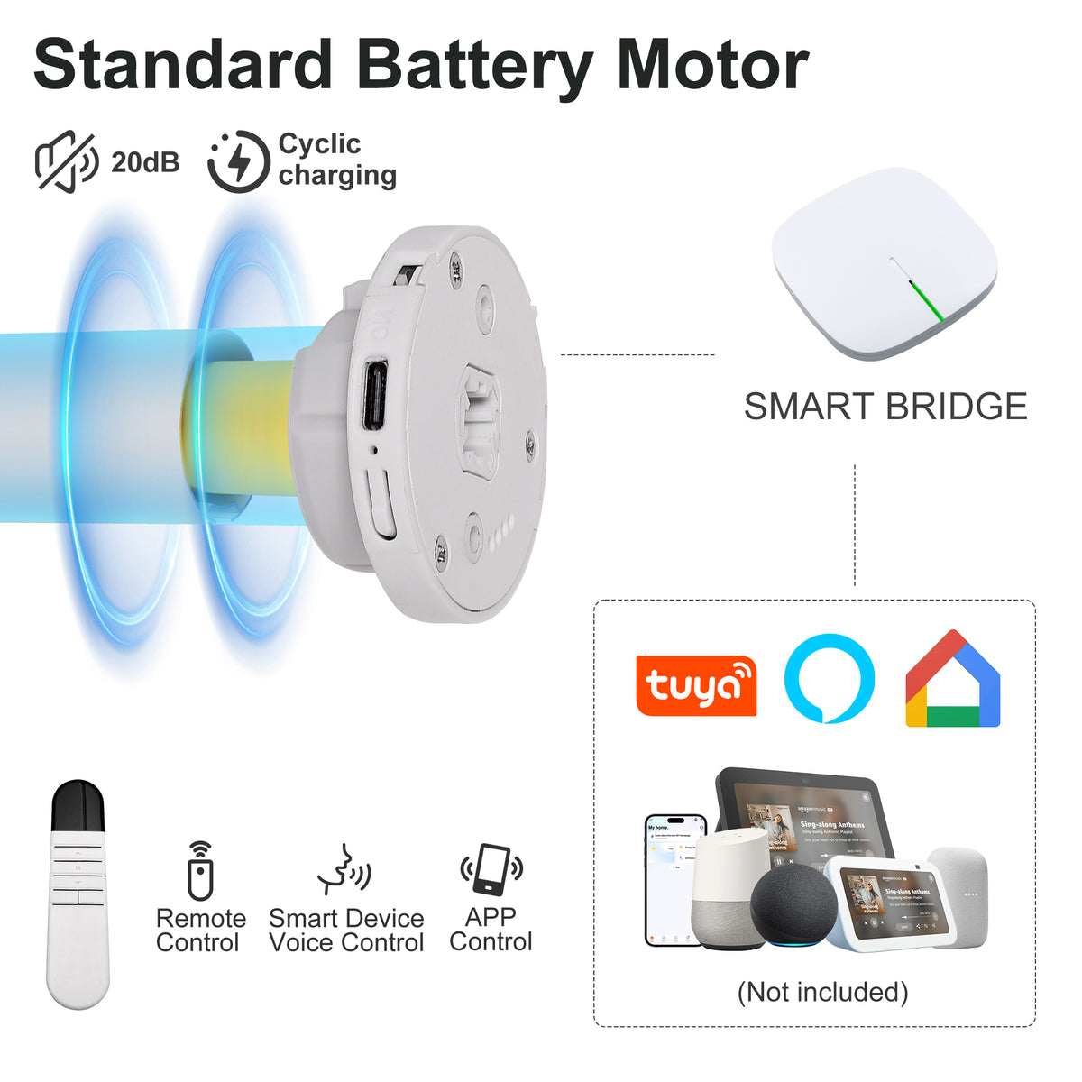 Standard Motor（25SRCG）+Smart Bridge