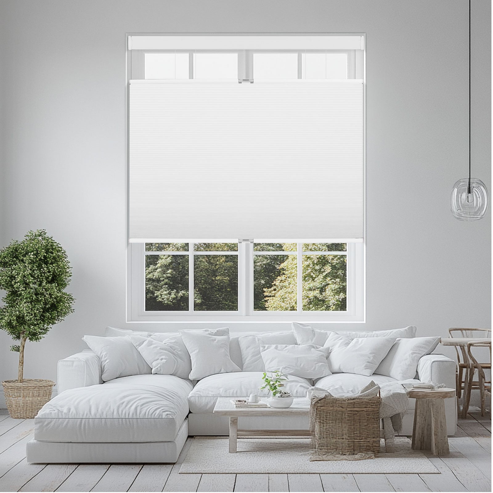 Modern living room with white sectional sofa, large window with white roller shade, green potted plant