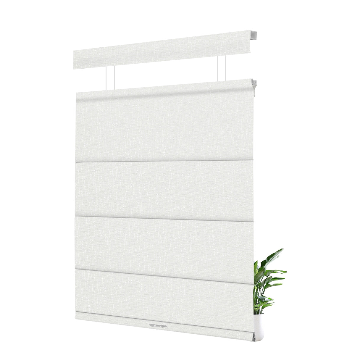 FB01-White