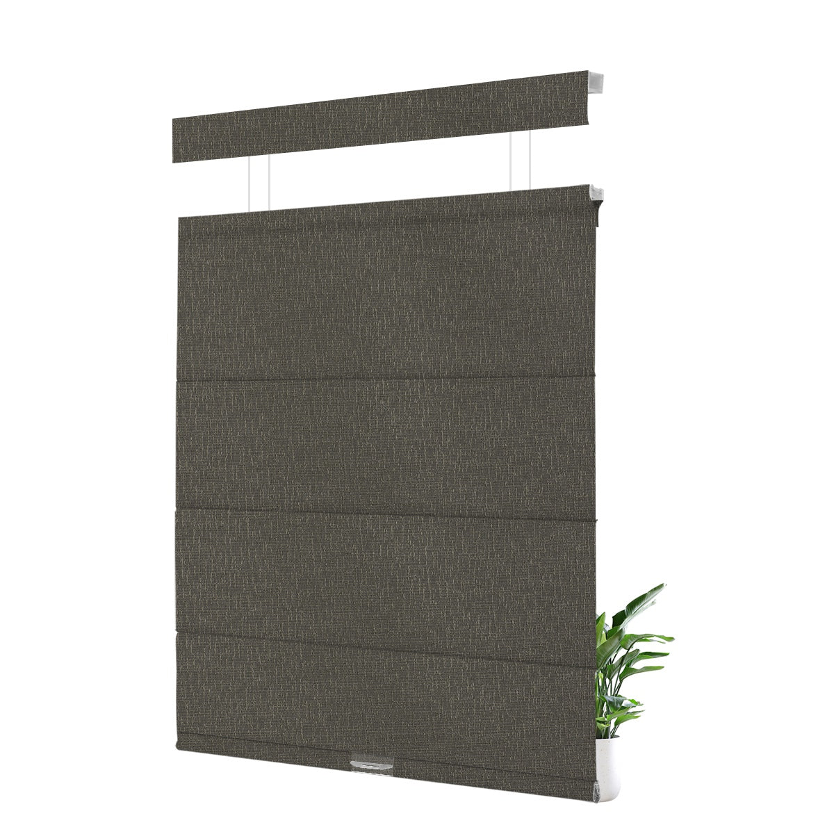FB10-Black
