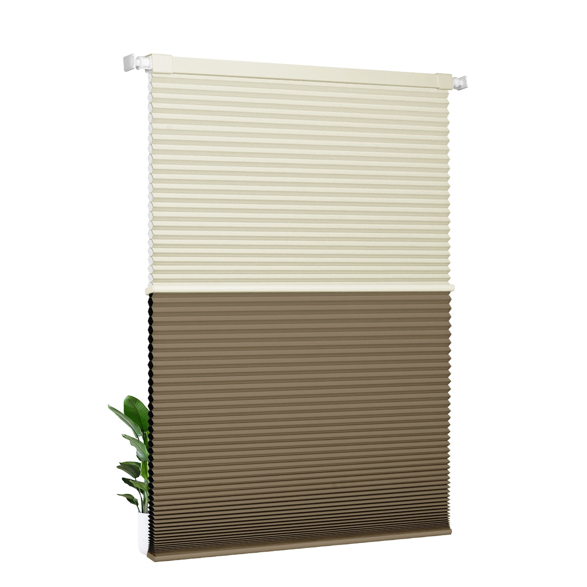 Light Filtering beige+Blackout brown