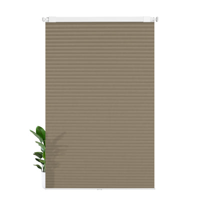 L08-Brown