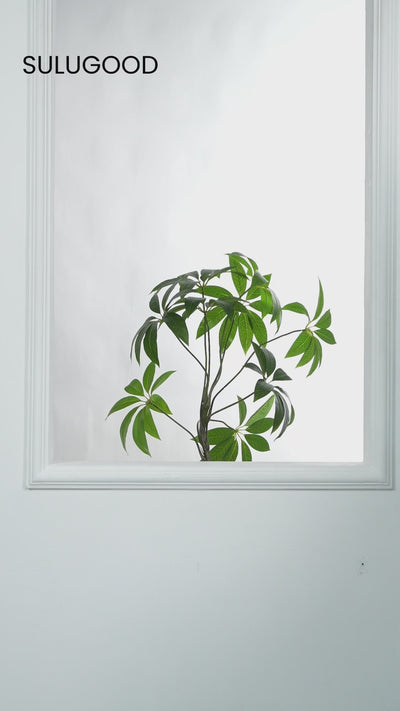 Sulugood No Drill Linen Fabric Cordless Blackout Roman Shades displayed with green plant in elegant design.
