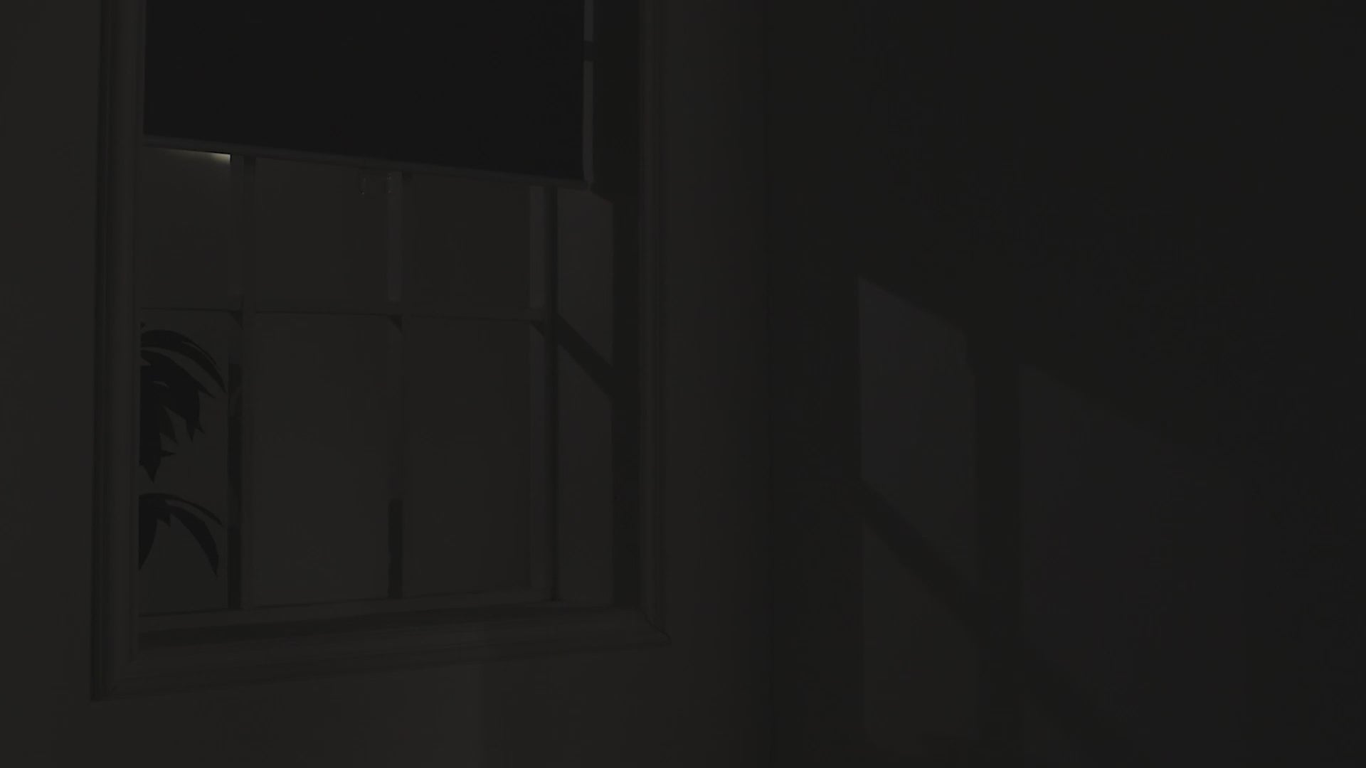 Load video: Sulugood Spring Cordless Different Light Transmittance Sunweave Fabric Roller Shades